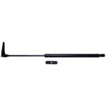Liftgate Support Strong Arm C4955R Fits 94-99 Toyota Celica. Fixed Price $26.75.
