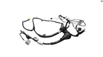 Oem Toyota RAV4 Le 2019-2022 Front Driver Side Door Wire Wiring Harness. Fixed Price $106.19.