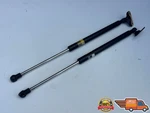 2011 2012 2013 2014 2015 2016 2017 Lexus CT200H Trunk Hatch Strut Shock Set Oem. Fixed Price $30.00.