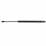 Ford Oem 07-14 Edge Lift Gate-support Cylinder Right 7T4Z78406A10A. Fixed Price $40.85.