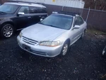 Used Deck Lid Fits: 2002 Honda Accord Sdn W/o Spoiler Grade. Fixed Price $488.06.