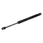Ford Mustang 2005-2014 Sachs Trunk Lid Lift Support. Fixed Price $10.87.