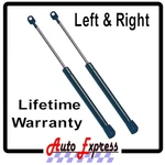 New Rear Hatch Lift Supports Struts Prop Shocks Fits Hyundai Tiburon 2000-2001. Fixed Price $61.84.
