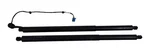 Mercedes Benz GLE350 Rear Lh Rh Tailgate Lift Shock Strut A1679800564 2020-2023. Fixed Price $162.00.