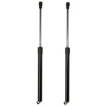 Lesjfors Pair Set Of Rear Trunk Shock Lid Lift Support Mercedes W220 S550. Fixed Price $53.96.