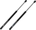 Hood Lift Support Shocks Struts Fits 2003-2008 Hyundai Tiburon. Fixed Price $24.50.