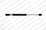 Kilen Rear Gas Spring Boot Cargo Area For Audi Tt. Fixed Price $36.44.