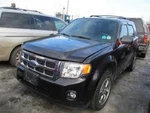 Escape 2011 Hatchback Strut 256764. Fixed Price $104.00.
