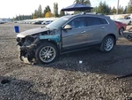 Tail Finish Panel Oem 2011 Cadillac Srx 22762876. Fixed Price $129.00.