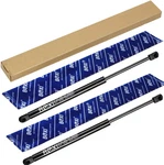 2PCS Liftgate Supports Struts Shocks For Nissan Rogue Sport & Qashqai 17-21. Fixed Price $21.00.