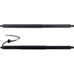 Pair Liftgate Supports Set Of 2 Driver & Passenger Side Left Right For X. Fixed Price $133.21.
