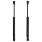 SET-TRWTSG430109-2 Trunk Lid Lift Supports Of Driver & Passenger Pair. Fixed Price $44.98.