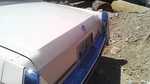 Trunk/hatch/tailgate Rwd Fits 80-92 Fleetwood 29770956. Fixed Price $501.99.