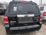 2010-2012 Ford Escape Trunk/decklid/hatch/tailgate Oem Jnbjg. Fixed Price $1421.36.