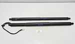 16-23 Oem Tesla Model X Rear Power Trunk Lid Tailgate Liftgate Strut Shock Set. Fixed Price $95.00.