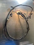 87-93 Ford Mustang Hatch Wiring Harness Gt Fox Body 5.0. Fixed Price $99.00.