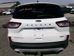 Used Deck Lid Fits: 2020 Ford Escape Privacy Tint Glass Grade. Fixed Price $930.89.