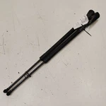 Nissan Rogue Trunk Lid Shock Strut Support 2017 2018 2019. Fixed Price $64.75.