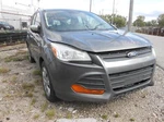 Used Deck Lid Fits: 2014 Ford Escape Tinted Glass Rear View Camera Grade B. Fixed Price $655.62.