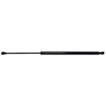 Back Glass Lift Support Strong Arm 6616 Fits 00-06 Bmw X5. Fixed Price $20.99.