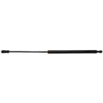 Liftgate Support Strong Arm 4612 Fits 82-89 Vw Scirocco. Fixed Price $26.02.