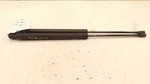 98 99 00 01 02 03 Toyota Sienna Hatchback Liftgate Strut Pair Left And Right. Fixed Price $67.49.