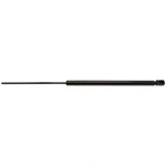 Back Glass Lift Support Strong Arm C4219. Fixed Price $20.21.