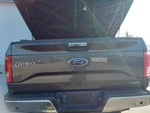 (local Pickup Only) Trunk/hatch/tailgate With Rear View Camera Fits 15-17 Ford. Fixed Price $150.00.