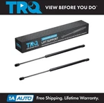 Trq Back Glass Lift Support Set Fits 1999-2003 Infiniti 1999-2004 Nissan. Fixed Price $47.95.