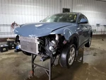 Front Door 2024 Hornet. Fixed Price $950.00.