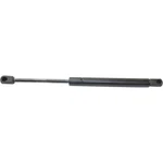Lift Support For 2004-2008 Pontiac Grand Prix Trunk Lid Left Right Side. Fixed Price $13.86.