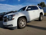 Left Hatchback Strut Oem 2018 Chevrolet Tahoe 84306929. Fixed Price $75.00.