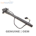 2011-2013 Bmw X5 Left Trunk Lid Strut / Shock (electric) 7286115. Fixed Price $59.99.