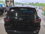 (local Pickup Only) Trunk/hatch/tailgate Privacy Tint Glass Fits 23-24 Escape 59. Fixed Price $1162.41.