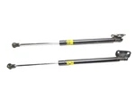 11-17 Lexus CT200H Trunk Hatch Shock Lift Support Pair Oem. Fixed Price $38.00.