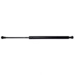 Trunk Lid Lift Support Strong Arm E6798. Fixed Price $24.64.