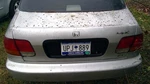 Trunk/hatch/tailgate Sedan Without Spoiler Fits 96-98 Honda Civic Oem. Fixed Price $615.39.