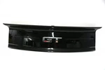 Oem 2015-2022 Ford Mustang Gt Trunk Decklid Panel JR3B-6343504. Fixed Price $99.00.