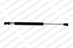 Trunk Lid Lift Support-coupe Lesjofors 8108422. Fixed Price $36.59.