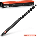 A-premium Rear Left Trunk Lift Support Shock Strut For Bmw 745I 745LI 750I 750LI. Fixed Price $49.99.