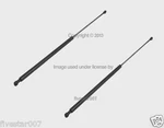 X2 Stabilus Rear Trunk Hatch Tail Gate Lift Shock Strut For Bmw 2004-2010 X3 E83. Fixed Price $68.40.