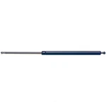 Liftgate Support Strong Arm 4620. Fixed Price $27.75.