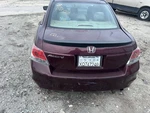 Trunk/hatch/tailgate Sedan With Spoiler Flush Style Fits 08-10 Accord 104760304. Fixed Price $324.52.