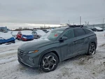 Tucson 2022 Hatchback Strut 1866033. Fixed Price $279.88.