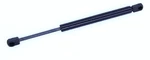 Lift Support Tuff 613882. Fixed Price $21.86.