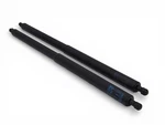 2020-2026 Chevy Corvette C8 Rear Trunk Engine Cover Hatch Lift Support Oem Gm. Fixed Price $98.00.