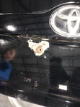 2013 Toyota Camry Deck Lid Black Oem Used Chipped Paint W/ Spoiler & Camera. Fixed Price $592.19.