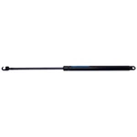 Trunk Lid Lift Support Strong Arm 4335. Fixed Price $23.84.