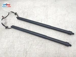 2017-22 Land Rover Discovery Power Tail Gate Shock Strut Hatch Spring Set L462. Fixed Price $114.94.