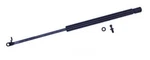 Trunk Lid Lift SUPPORT-4 Door, Sedan Tuff 612755 Fits 1993 Lexus GS300. Fixed Price $35.52.